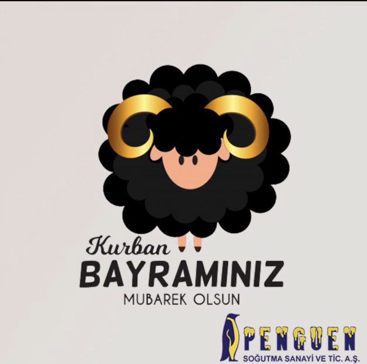 Size bir kampanya haberimiz var!