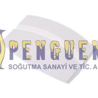 Altus Çamaşır Makinesi Kapak Mandalı 2852430100
