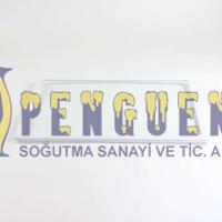 Arçelik Buzdolabı Cam Raf 4398420100