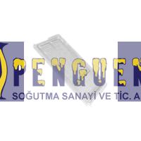 Arçelik Buzdolabı Dondurucu Rafı 4249010700