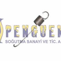 Arçelik Çamaşır Makinesi Kazan Askı Yayı 2820360500