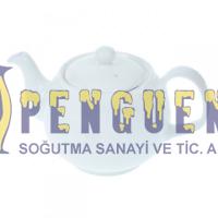 arcelik cay makinesi porselen demlik 9193061012 168 64 tl kdv