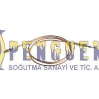 Arçelik STO812E Fırın Isıl Elemanı Termokupl 230311005