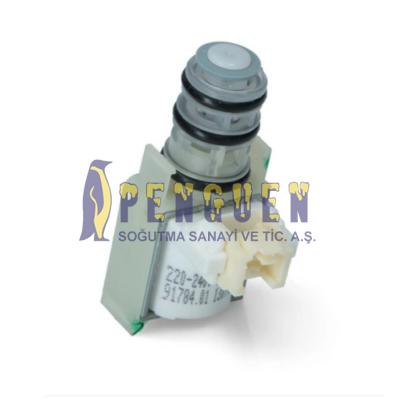 Bosch Bulaşık Makinesi Rejenerasyon Ventili 00611916