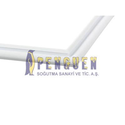 Bosch KSV39602NE Buzdolabı Üst Kapı Contası 00474026