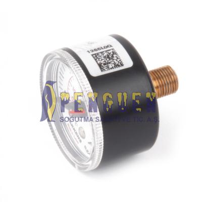 Buderus GB022 Kombi Manometre 