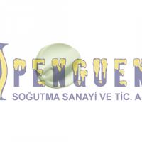 Demirdöküm Aden Kombi Isı Ayar Potansiyometre Düğme