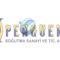 Demirdöküm Nepto Kombi Düğme 