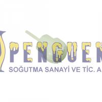 Demirdöküm Şofben Düğme 