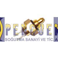 Eca Calora Kombi Ntc 