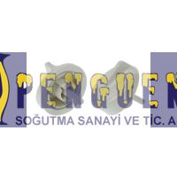 Ferroli Domicompact F24 Kombi Düğme