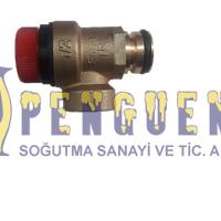 Kombi 3 Bar Emniyet Ventili Bosch  Logamax  Geçme 