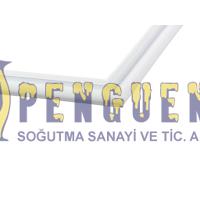 Profilo BD2201TE Buzdolabı Alt Kapak Contası 00474026