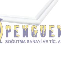 Profilo BD2201TE Buzdolabı Üst Kapak Contası 00474026