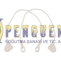 Regal Bulaşık Makinesi Kapı İp Seti 47001133