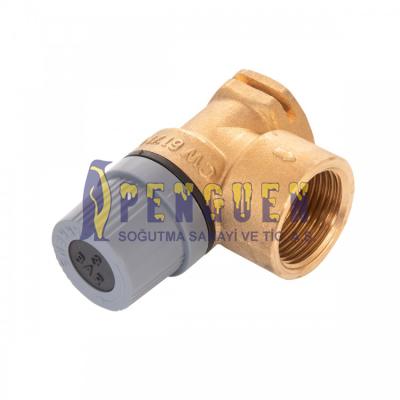 Vaiilant Kombi 3 Bar Emniyet Ventili (Pakkens)