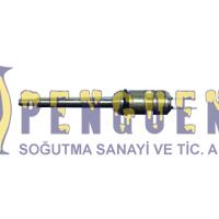 Viessmann Yoğuşmalı Kombi Ntc 