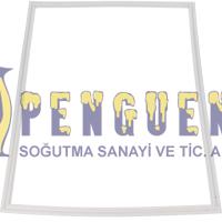 Altus Buzdolabı Alt Kapak Contası 4902421300