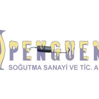 Arçelik  Çamaşır Makinesi Kazan Askı Yayı 2443500100