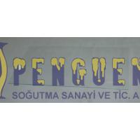Arçelik 570430MI Buzdolabı Dondurucu Rafı 4362727700