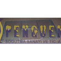 Arçelik AR 2041 D Derin Dondurucu Çekmece Kapağı 4312613600
