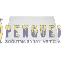 Arçelik Buzdolabı Cam Raf  4299898000