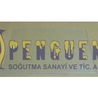 Arçelik Buzdolabı Cam Raf 4362723200