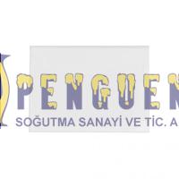 Arçelik Buzdolabı Dondurucu Rafı 4299899800