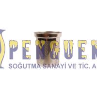 Arçelik Elektrikli Semaver Süzgeç 9197065149