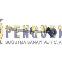 Arçelik Espresso Makinesi Su Vanası 9178062275