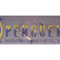 Arçelik Kombi Sol Ateşleme Elektrodu 9181351021