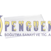 Beko 7060MB Derin Dondurucu Çekmece Kapağı 5756810400