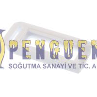 Beko D72KT Çamaşır Makinesi Kilit Dili 2962390100
