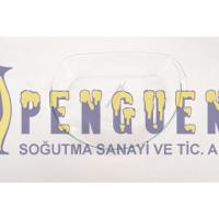 Bosch Çamaşır Kurutma Makinesi Ön Kapak Camı 12053306