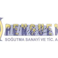 Bosch Çamaşır Makinesi Tambur Paleti 00742713