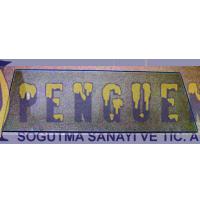 Buzdolabı Sebzelik Cam Rafı - 4214904200