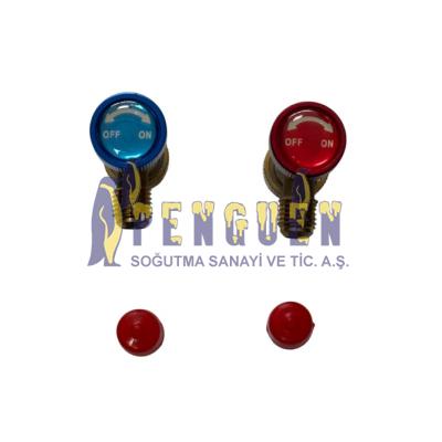 CT 362 R410A ve 22 Gazlara Uyumlu Adaptörlü Gaz Vanası