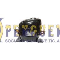 Donper AK 100CY1 1/8 HP R600A Buzdolabı Motoru 