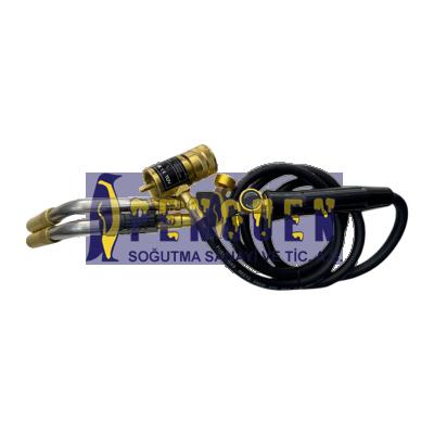 İki Uçlu Vanalı Mapp Gaz Başlık