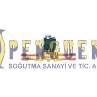 OLAB 30300-T-10-270-A Selenoid Vana