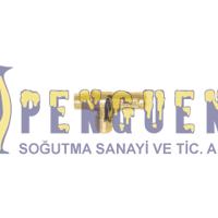 OLAB 40095-K4N4-0-300 Emniyet Vanası
