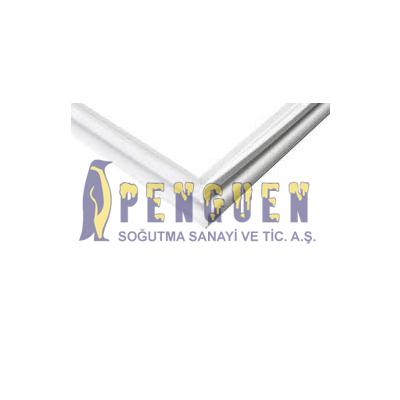 Profilo BD3056W3VN Buzdolabı Alt Kapak Contası 00772879