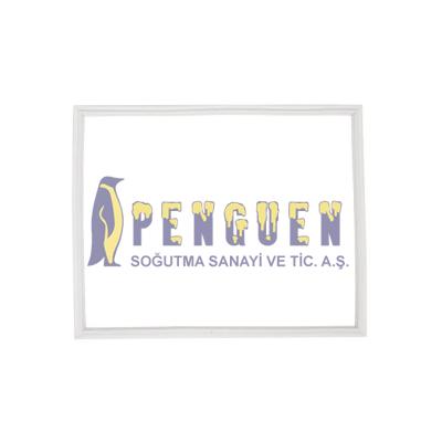 Profilo Buzdolabı Üst Kapı Contası 68x55