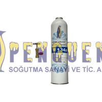 R 134a Soğutucu Gaz 800 gr