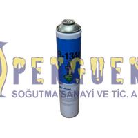 R134a Soğutucu Gaz 650 gr