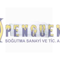 Siemens KD53NNL23N Buzdolabı Sebzelik Çekmecesi 00774298