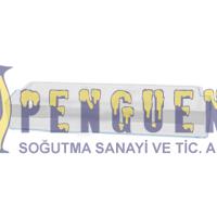 Siemens KD56NNW22N Buzdolabı Kapak Rafı 12004300