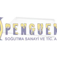 Siemens KG58EBI44N Buzdolabı Cam Raf 00707660