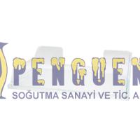 Siemens KS49U630NE Buzdolabı Rafı 00491335