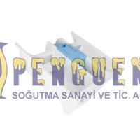 Vestel Çamaşır Makinesi Deterjan Haznesi 42070694